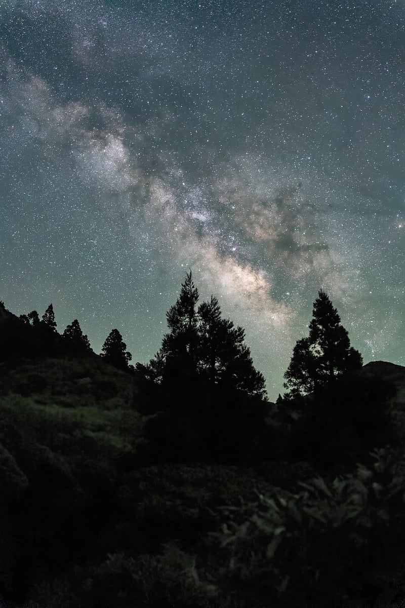 Milky Way Veil