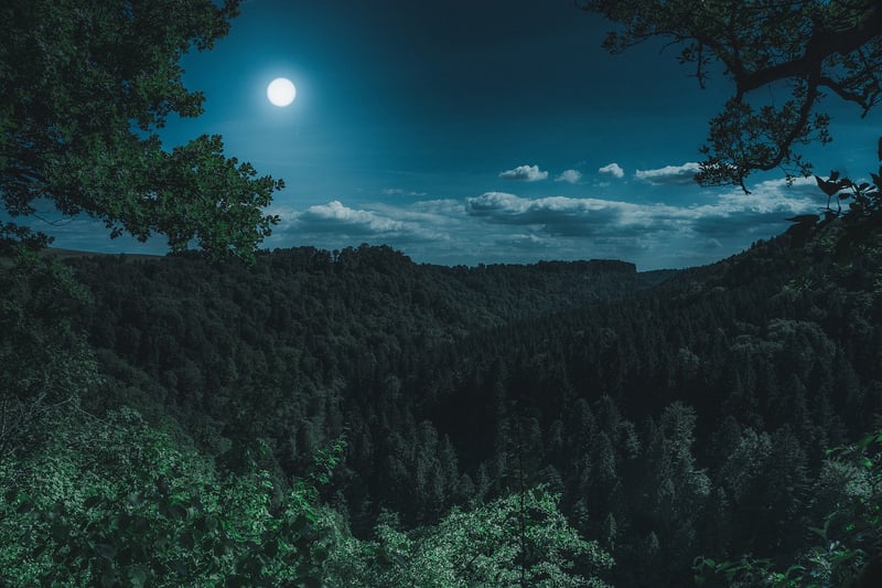 Moon and Planets